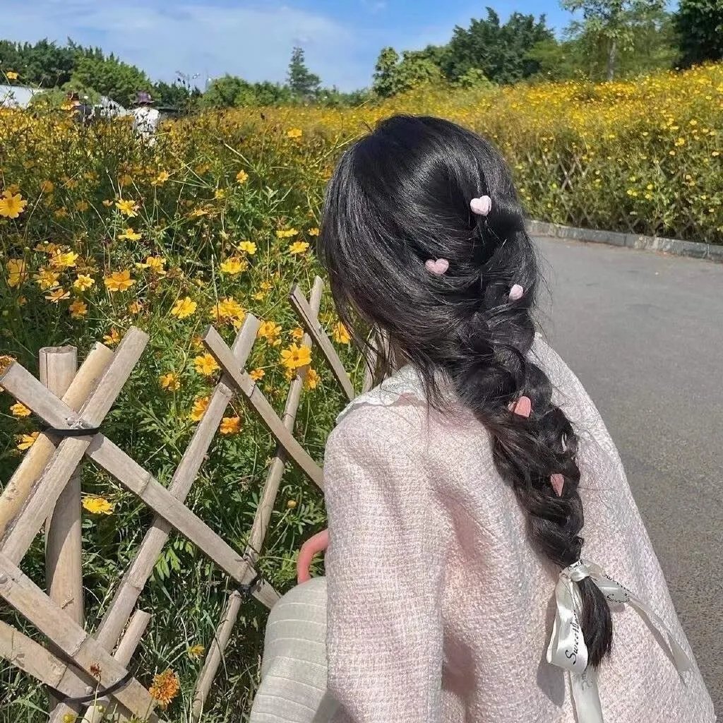 和平卫士